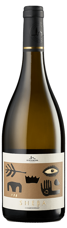 Sheba Chardonnay