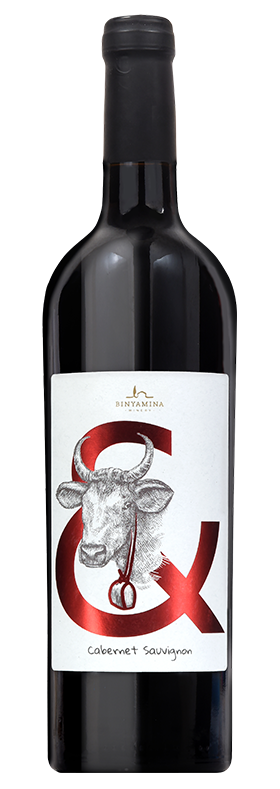 wine& - קברנה סוביניון