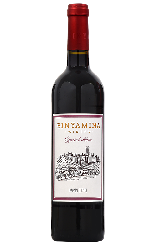מרלו | Merlot