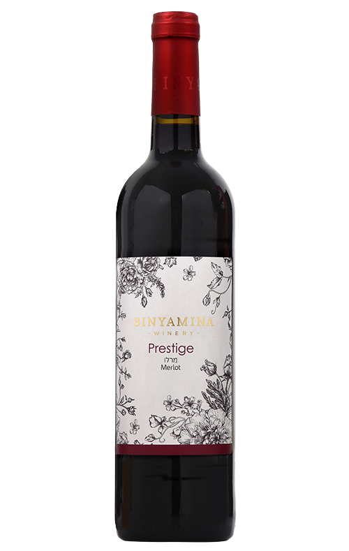 מרלו | Merlot